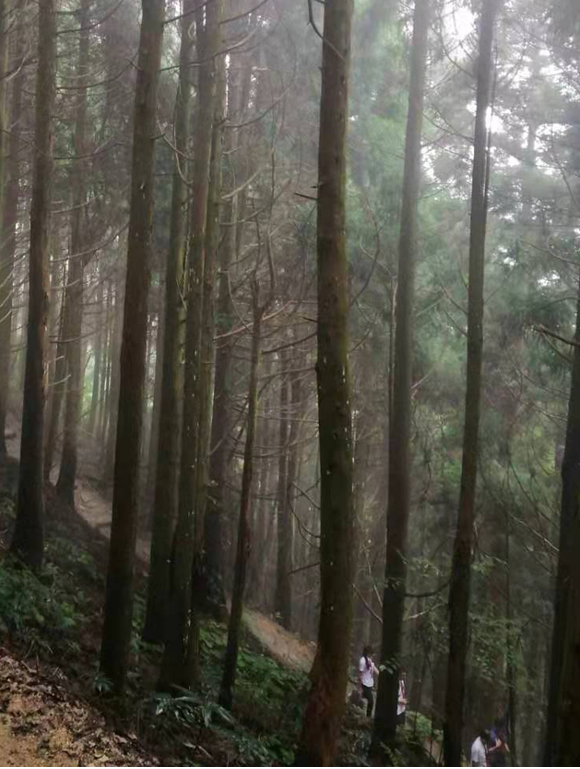 1563761322604035466.png 9.png